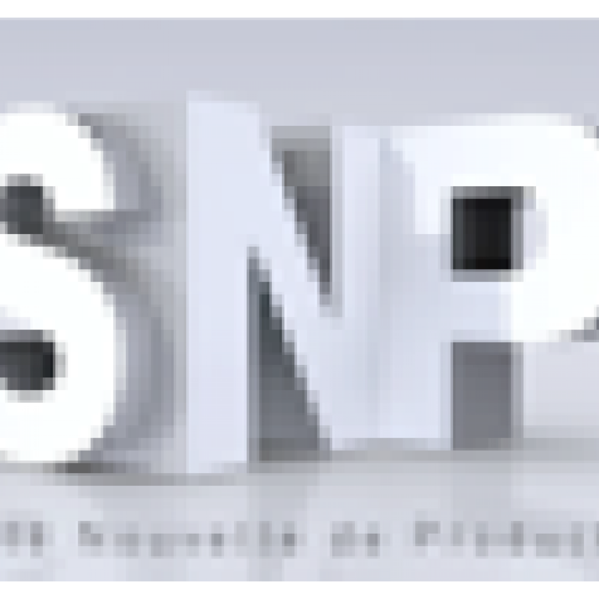 SNP2